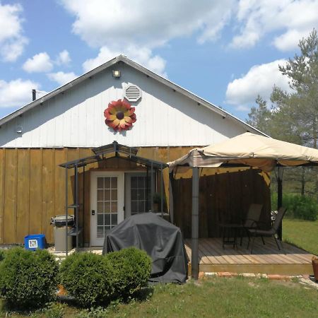 Dreamers Writing Farm, 3 Wooded Acres, Hepworth Sauble Beach Exterior foto