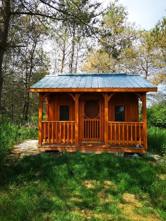 Dreamers Writing Farm, 3 Wooded Acres, Hepworth Sauble Beach Exterior foto