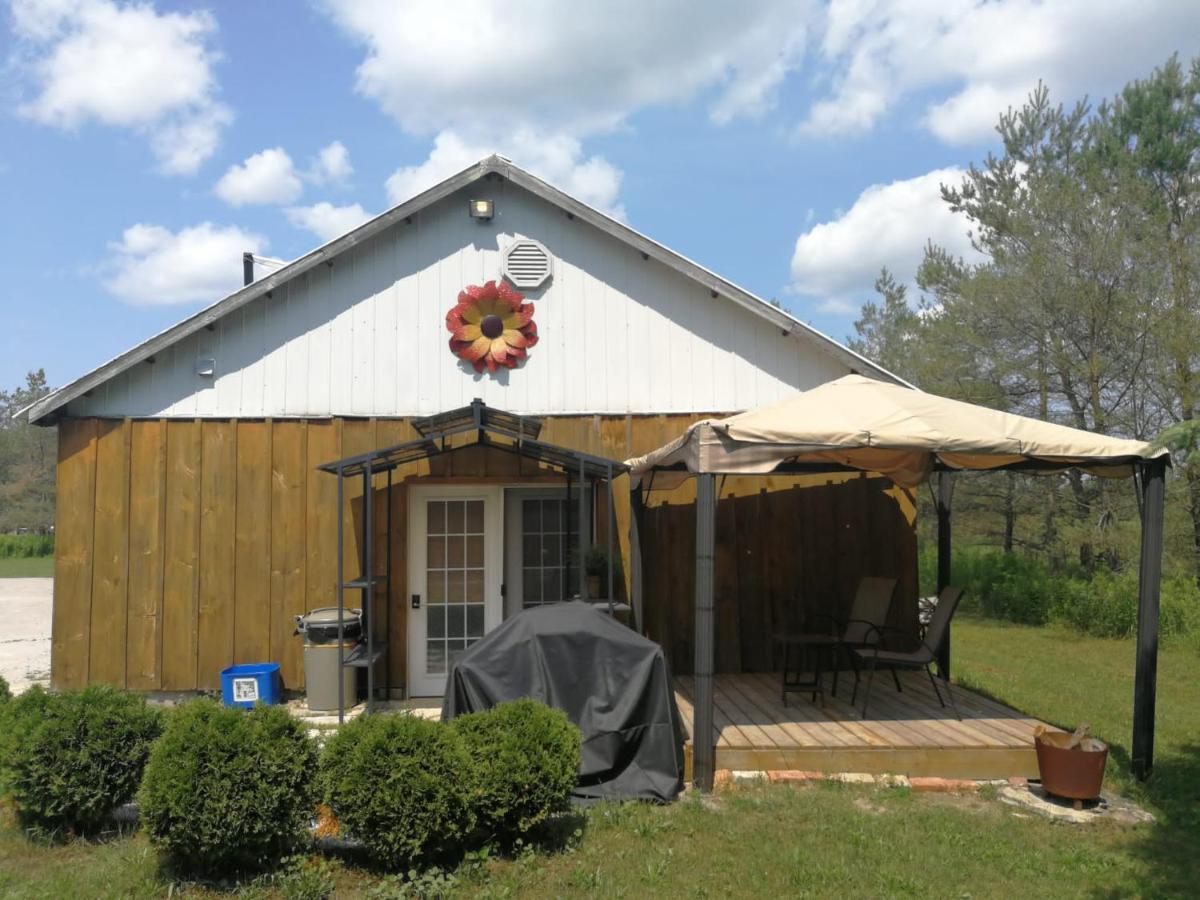 Dreamers Writing Farm, 3 Wooded Acres, Hepworth Sauble Beach Exterior foto